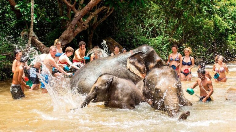 Elephant Jungle Sanctuary