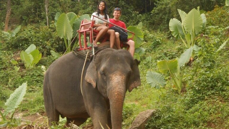 Elephant riding