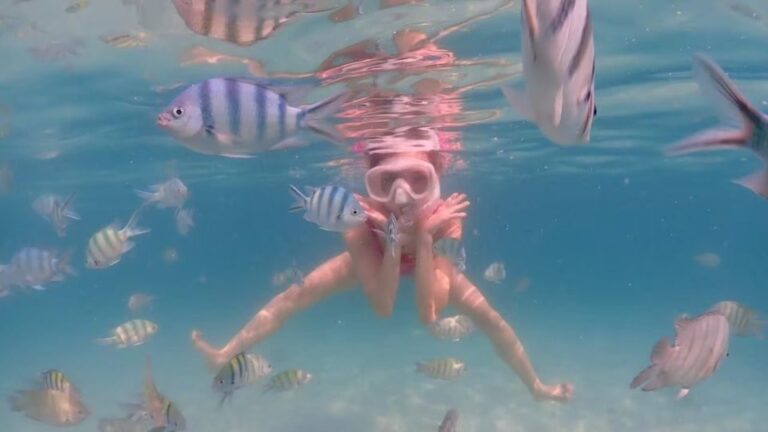 Underwater Odyssey