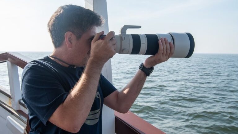 Photo Safari